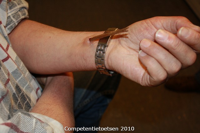 Competentietoetsen_2010_42.jpg